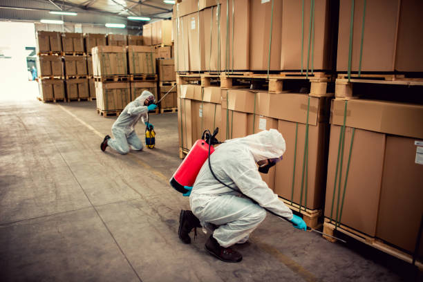 Best Pest Prevention Services  in Cannon Af, NM
