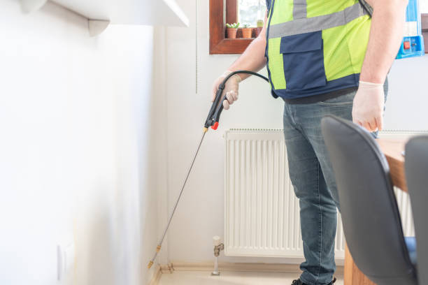 Best Flea Control Services  in Cannon Af, NM