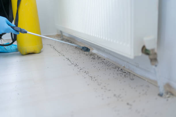 Best Commercial Pest Control Services  in Cannon Af, NM